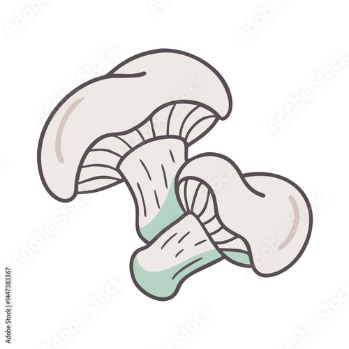 Illustration of edible mushrooms fungi mushroom fungus organic food forest foraging nature drawing