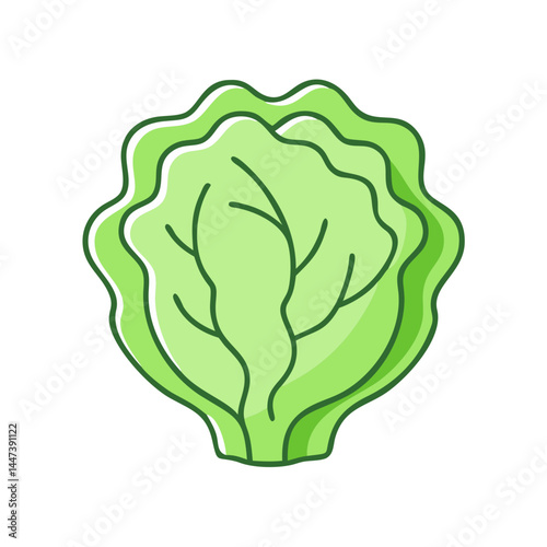 Illustration of fresh green lettuce vegetable salad ingredient for healthy eating and diet plan