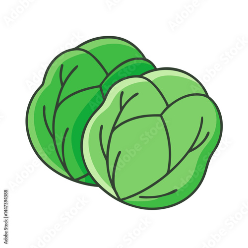 Fresh green cabbage vegetable healthy food nutrition diet salad ingredient vegetarian vegan farm market produce
