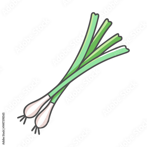 Fresh organic spring onions scallions illustration healthy eating culinary herbs vegetables food item