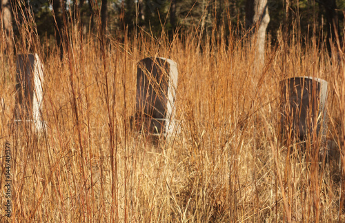 Abandoned Cemetery Located in Rural East TX Barron Cemetery