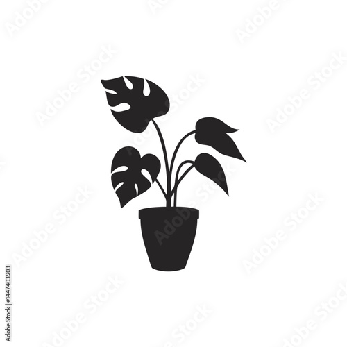 Silhouette of a potted monstera plant