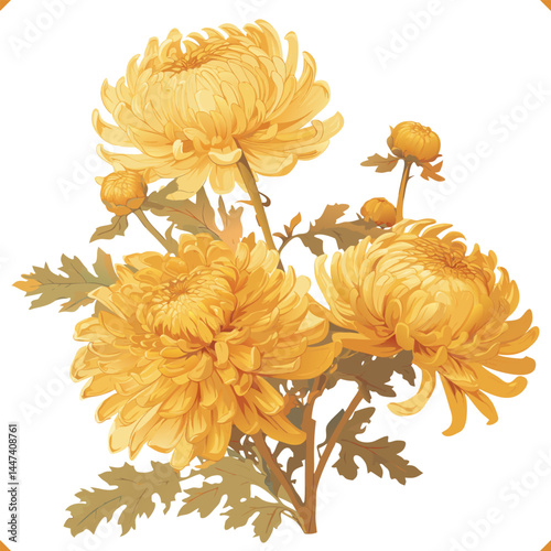 Flat vector illustration of yellow chrysanthemums on white background. Yellow flowers and green leafs. Vector EPS 10