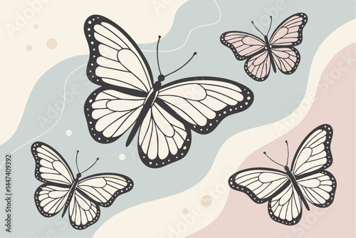 butterfly
