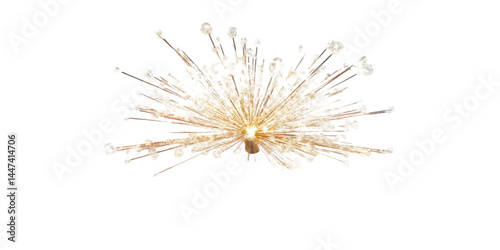 White Gold Crystal Chandelier Illustration Isolated Background