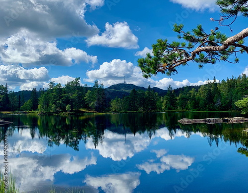 Nydammen lake and Jonsknuten mountain during summer in Kongsberg, Norway