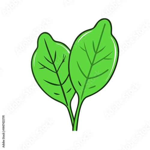 Fresh green spinach leaves vegetable healthy food nutrition diet vegetarian vegan salad ingredient plant