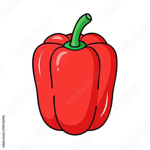Red bell pepper vegetable illustration fresh food healthy eating cooking ingredient vector graphic design