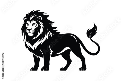 lion vector illustration