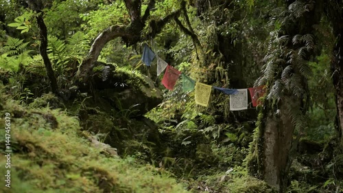 Buddhist Prayer Flags in Forest Nature in Nepal Mountains, Colourful Tibetan Buddhist Prayer Flags in Green Tropical Nature and Trees in the Himalayas, Religious Symbol in Annapurna Scenery