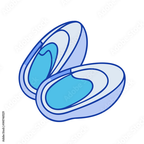 Illustration of clamshells shells seafood marine life ocean sea beach nature underwater clam mollusk