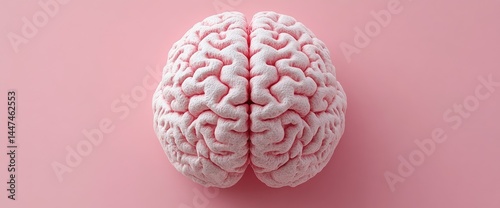 Top-down view of pink brain model with intricate details of convolutions against a pink background