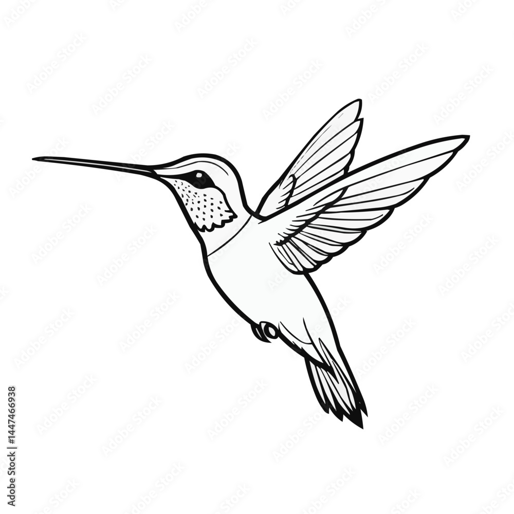 Fototapeta premium Hovering hummingbird line art, detailed bird illustration in elegant minimalist style