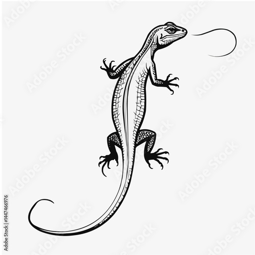 Detailed lizard illustration, reptile wildlife drawing in black and white line art style