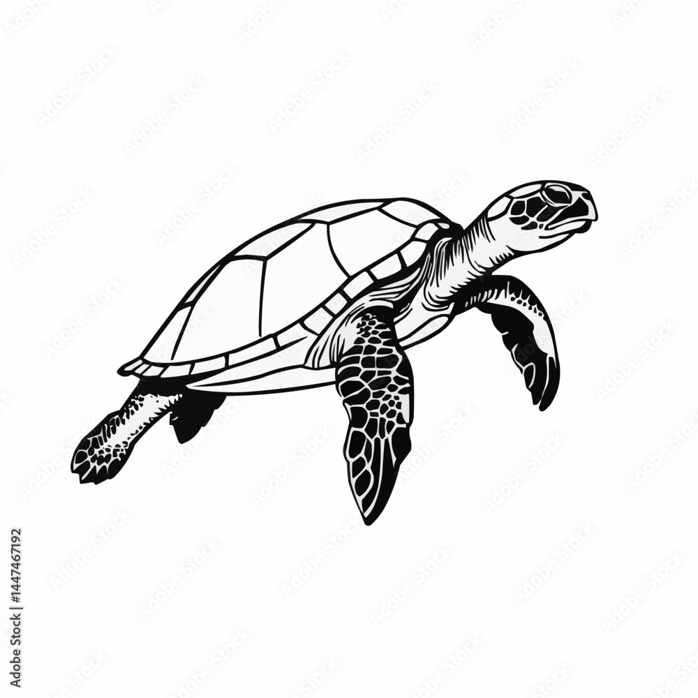 Fototapeta premium Swimming sea turtle illustration, marine reptile in detailed black line art style