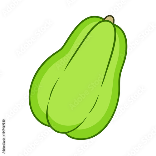 Illustration of chayote squash vegetable gourd pear shaped green healthy food ingredient recipe dish