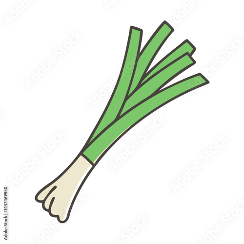 Fresh green leek vegetable raw ingredient culinary herb cooking food healthy eating vector art