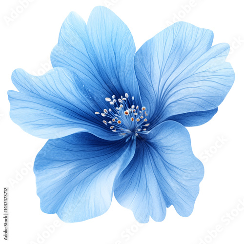 blue flower isolated isolated on transparent background