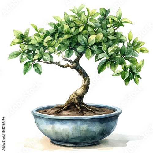 watercolor of Miniature Bonsai Tree In A Ceramic Pot, vector, isolated on a white background.