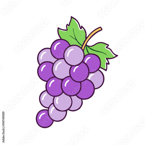 Illustration of grapes fruit, purple grapes, grape vine, grape leaves, healthy grapes, sweet grapes