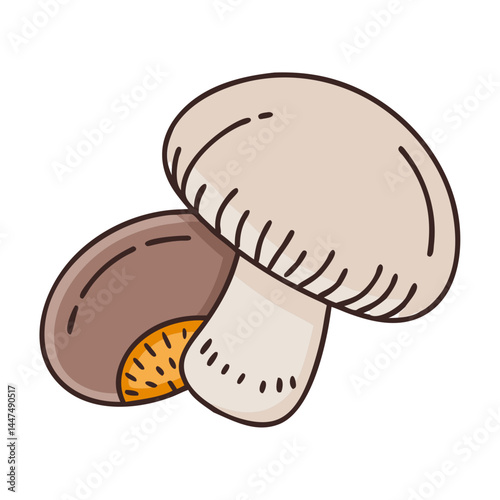 Mushroom fungi edible mushroom healthy food organic mushroom vegetarian mushroom illustration art