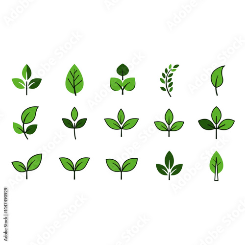 Green leaf set with stylized botanical illustrations on transparent background