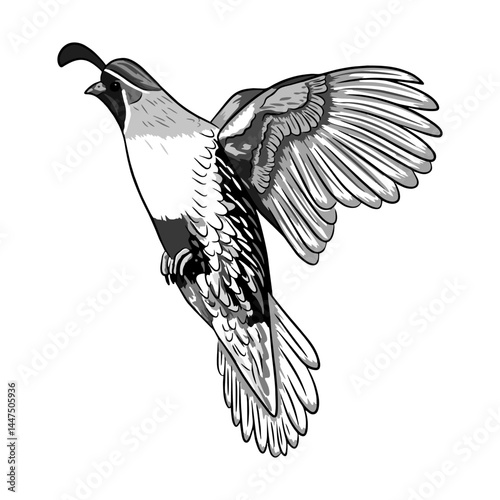 quail hunting illustration logo vector image t shirt