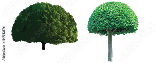 Vector watercolor green tree or forest side view isolated on white background for landscape and architecture drawing,elements for environment or and garden,Shrub for section