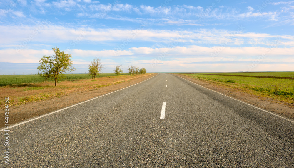 Fototapeta premium Beautiful asphalt road with markings goes into the distance on a sunny summer day. Beautiful road in the Kolmyk steppe in spring.