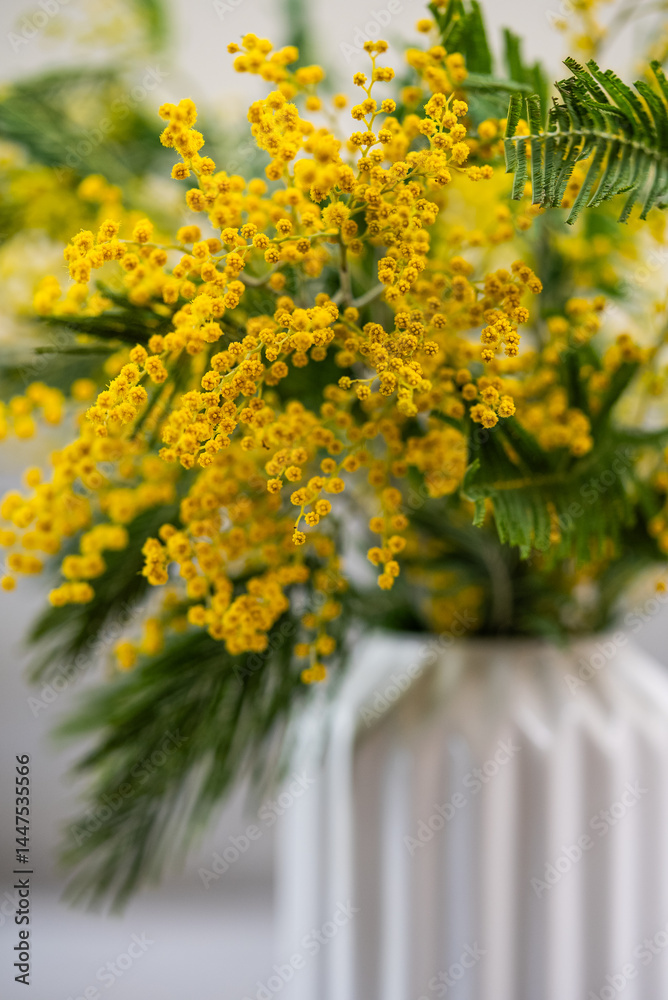 Obraz premium Bright yellow mimosa pudica flowers create a vibrant display in a stylish white vase, celebrating the beauty of nature and the arrival of spring, filling space with freshness and color