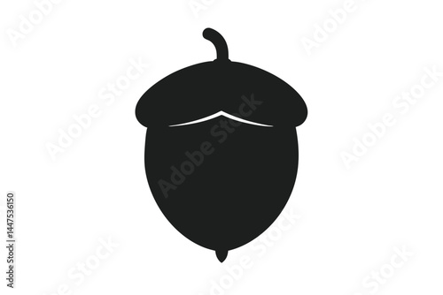 acorn on a white background