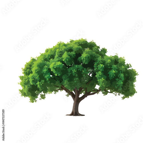 Vector watercolor green tree or forest side view isolated on white background for landscape and architecture drawing,elements for environment or and garden,Shrub for section