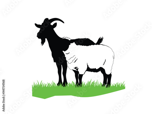 Goat and sheep in the grass for farm and eid al adha background 