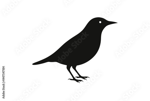 crow on a white background