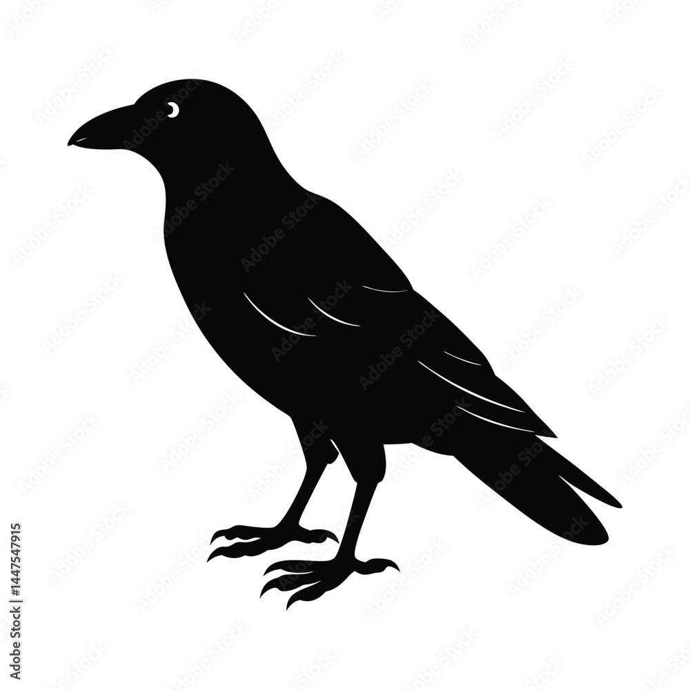 Fototapeta premium common raven bird silhouette art illustration on white background