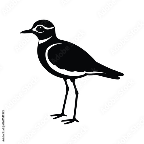 killdeer bird silhouette art illustration