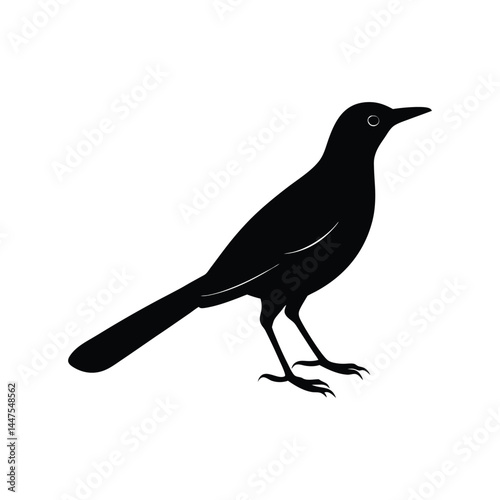 common grackle bird silhouette art illustration