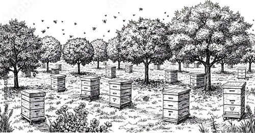 Beehives in Orchard, Black and White Vector Illustration
