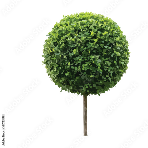 Vector watercolor green tree or forest side view isolated on white background for landscape and architecture drawing,elements for environment or and garden,Shrub for section