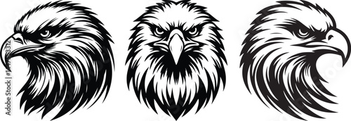 Stylized Black and White Eagle Head Vector Illustration for Tattoo and Mascot Design