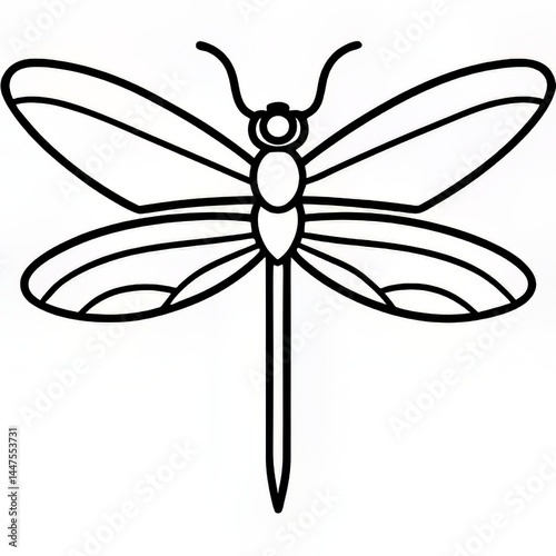 The Dragonfly photo