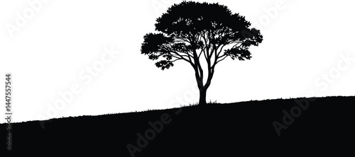 Lone Tree Silhouette on Hill