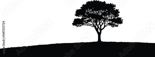 Lone Tree Silhouette on Hilltop