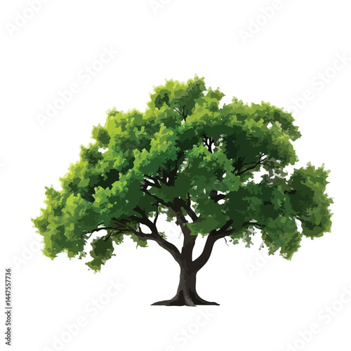 Vector watercolor green tree or forest side view isolated on white background for landscape and architecture drawing,elements for environment or and garden,Shrub for section