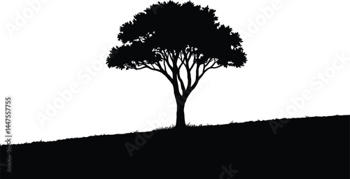 Lone Tree Silhouette on Hilltop