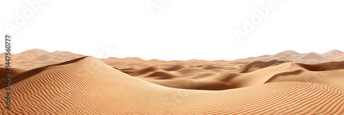 Wide sandy desert landscape isolated on transparent background cutout png