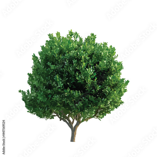 Vector watercolor green tree or forest side view isolated on white background for landscape and architecture drawing,elements for environment or and garden,Shrub for section