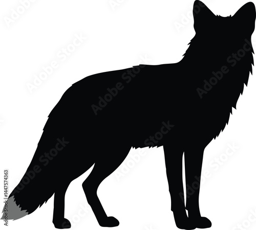 Alert Fox Silhouette - Minimalist Black and White Vector