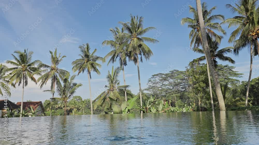 luxury swimming pool set in lush scenery of palm trees luxury swimming pool set in lush scenery of palm trees