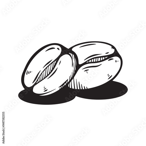 Single coffee beans minimalist illustration, black and white line art